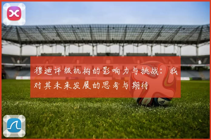 穆迪评级机构的影响力与挑战：我对其未来发展的思考与期待